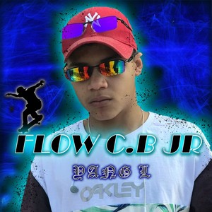 FLOW C.B JR