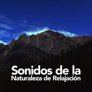Sonidos de la naturaleza Relajacion - Stream Sounds
