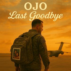 Last Goodbye (feat. Suno)