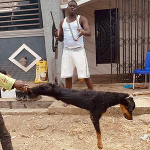 Ogun (BaBaGang) (Explicit)