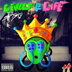 Levels To Life (Explicit)