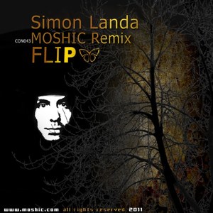 Flip (Original Mix)