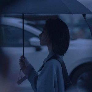 越南魔性神曲 - 梦洛伊封面