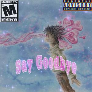 Say Goodbye (Explicit)