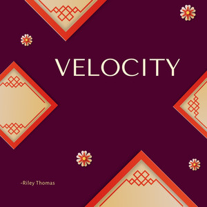 Velocity