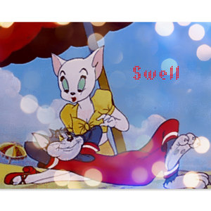 野猫先生与家猫小姐的咖啡蜜月.