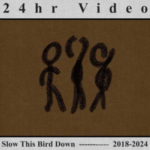 Slow This Bird Down (2018-2024)