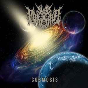 Cosmosis