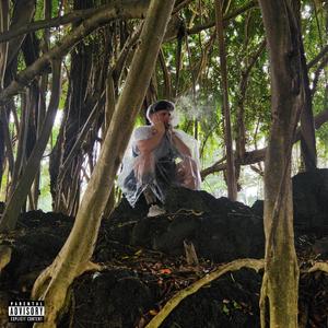 Best I Can (feat. Mc.lovin) (Explicit)