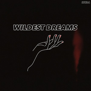 Wildest Dreams