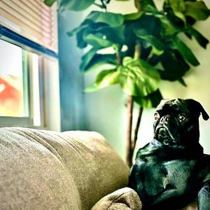 Awful Things (Explicit)