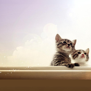 三生三世 SanShengSanShi