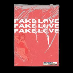 Fake Love