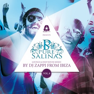 Pure Salinas, Vol. 8 (Compiled by DJ Zappi) [Lounge & Deep House Mixed]