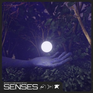 Senses