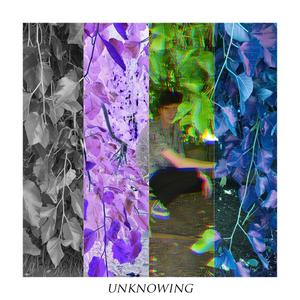 Unknowing