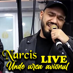 narcis de la barbulesti-balansul indian sunita