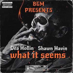 What it seems (feat. Shawn Havin) [Explicit]