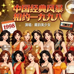 雾里看花 (欢快版)封面