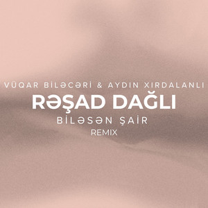 Biləsən Şair (Remix)