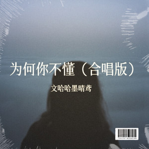 为何你不懂