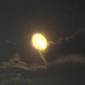 Wya (feat. Dreamie, Wertos & Paperpeice) (Explicit)