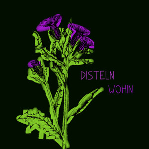 Disteln_wohin