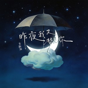 昨夜我又梦见你