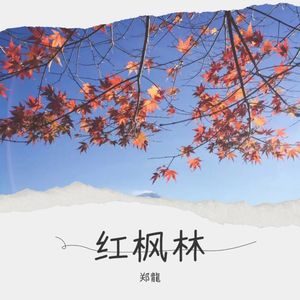 用力活着 (Live)封面