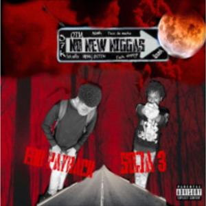 No new niggas (Explicit)