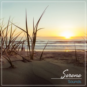 #Serene Sounds