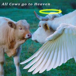 All Cows go to Heaven