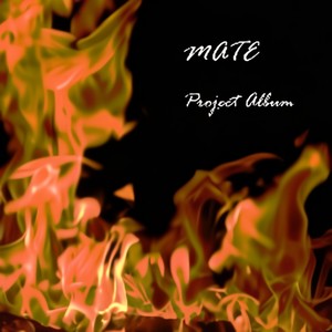 MATE(Project)