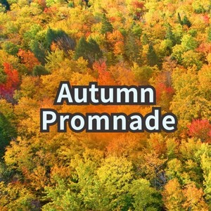 Autumn Promnade