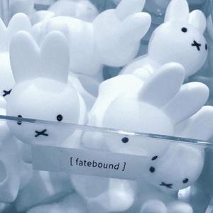 Leaving (fatebound ver.)