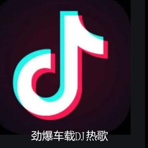 还在假装（DJ名龙版）零一九零贰