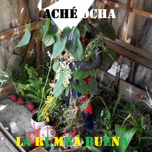 Aché Ocha