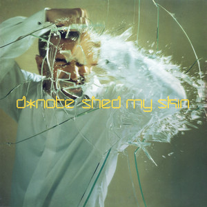 Shed My Skin (Mr Sams One Night In San Francisco Remix)