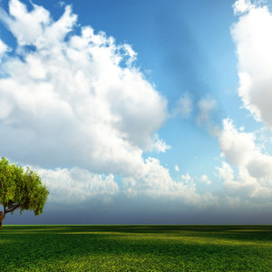 小潘柚 - 烟花易冷 (肌肉记忆版)