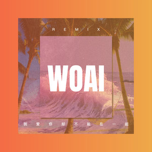 三大纪律八 (DJ版)