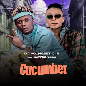 Cucumber (feat. SeanBreeze)