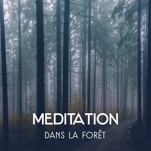 Meditation dans la forêt - Musique de relaxation profonde pour détente, Sons de la nature, Chant des oiseaux, Rivière coulante, Bruits de la nuit