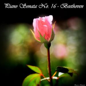 Piano Sonata no. 16 in G major, Op. 31 no. 1 - Ludwig van Beethoven - Piano Sonata No. 16 in G Major, Op. 31 No. 1: III. Rondo, Allegretto