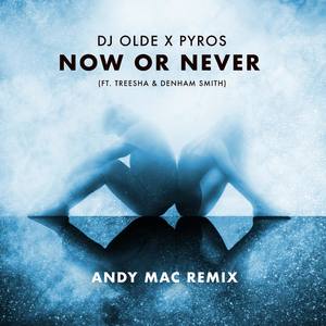 Now or Never (feat. Treesha & Denham Smith) [Andy Mac Remix]