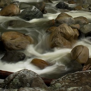 Charles Bates - Cripple Creek