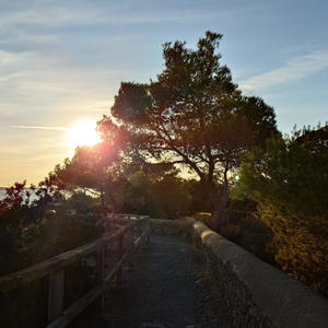 After The Love Has Gone