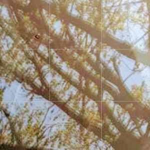 **** This (Explicit)