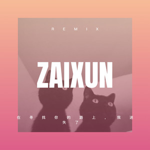 在寻找你的路上，我迷失了