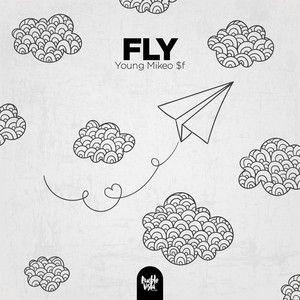 Fly