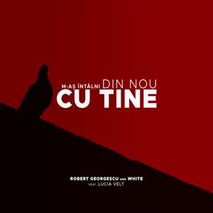 M-as intalni din nou cu tine (feat. Lucia Velt)